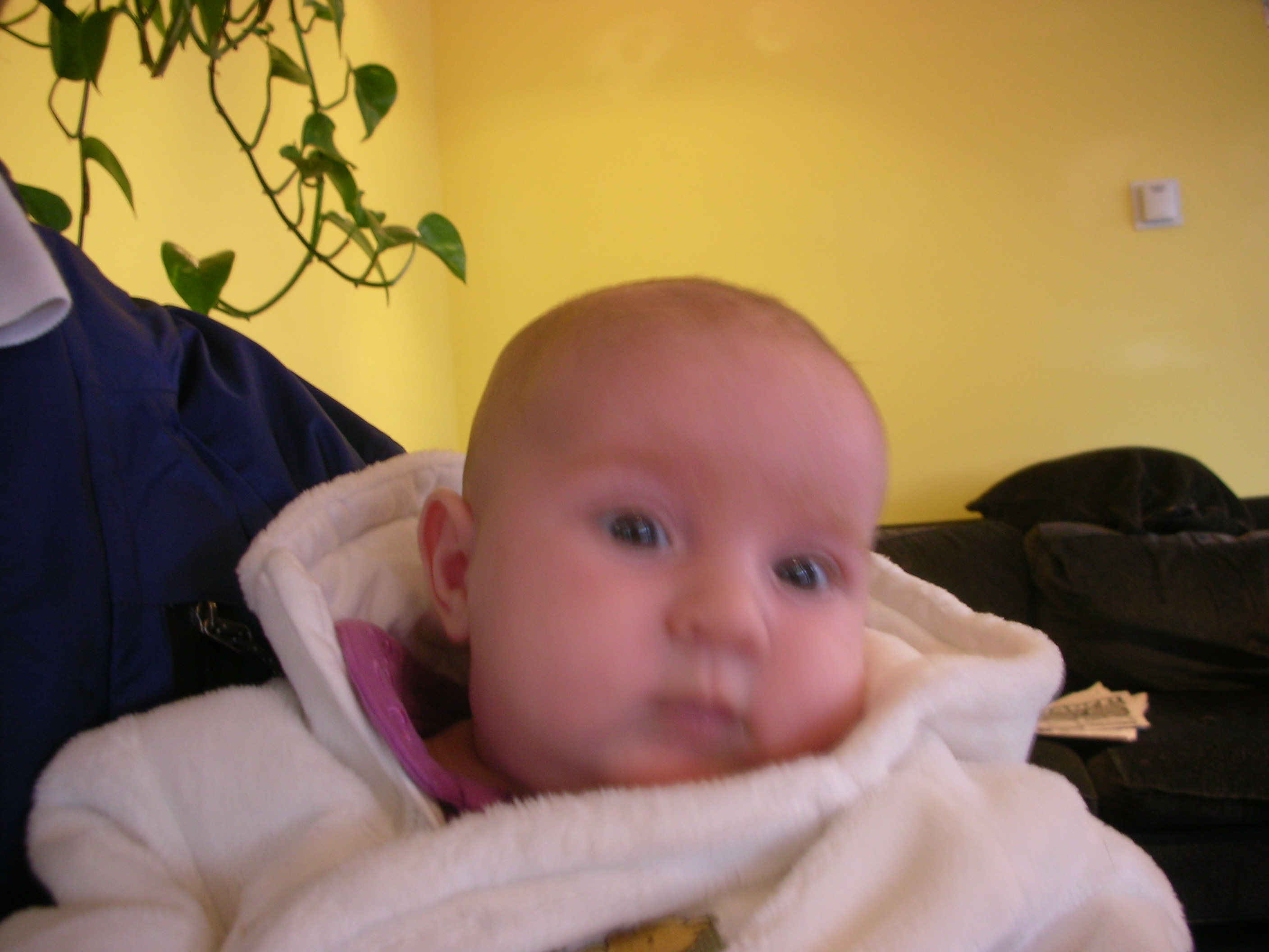 DSCN4515.jpg