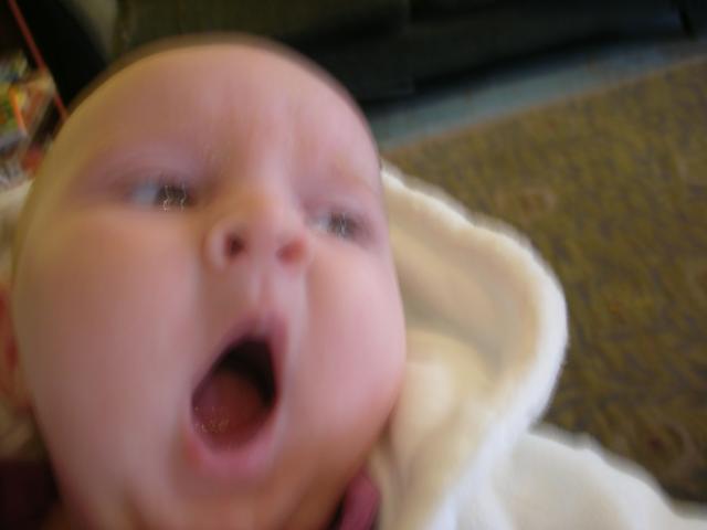 DSCN4518.jpg