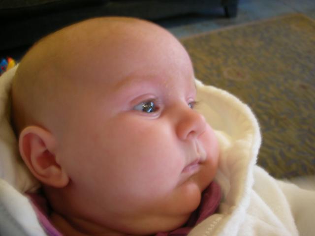 DSCN4519.jpg