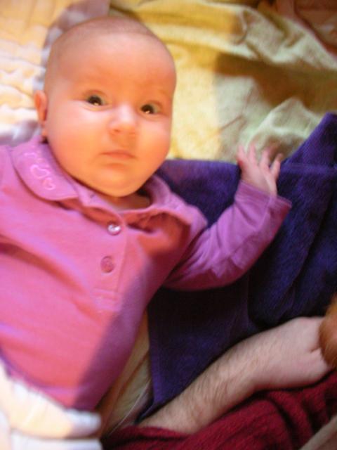 DSCN4538.jpg