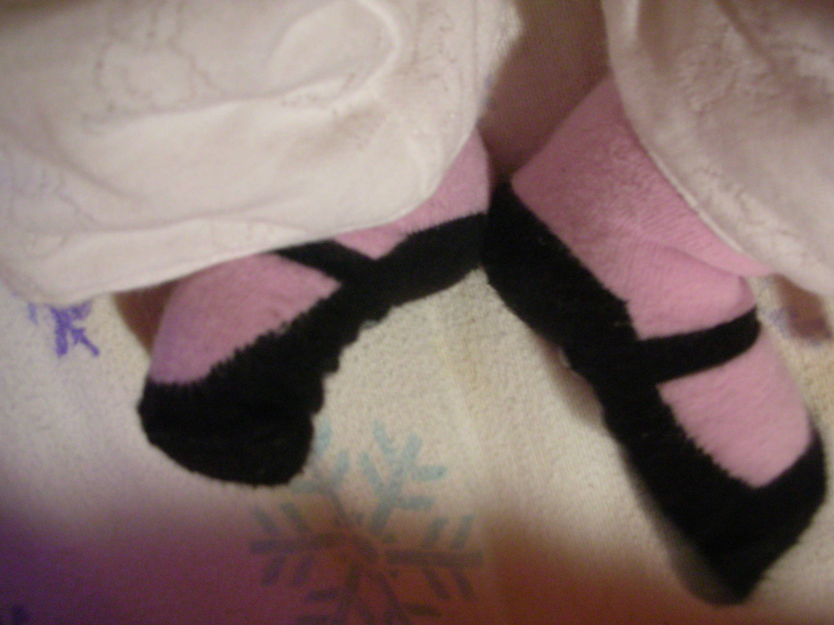 DSCN4561.jpg