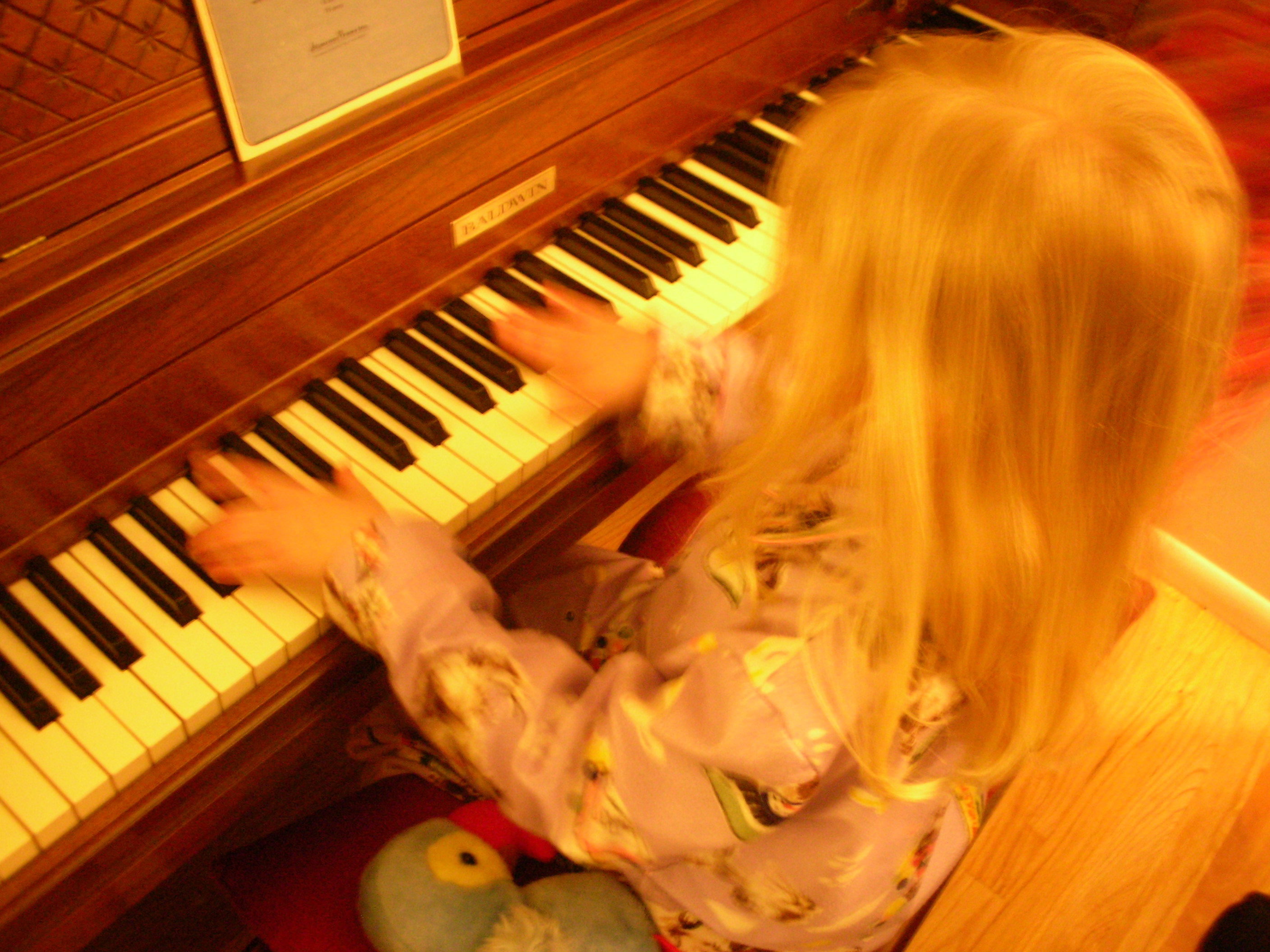 DSCN4592.jpg