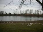 DSCN4623.jpg