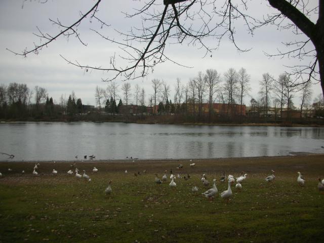 DSCN4623.jpg