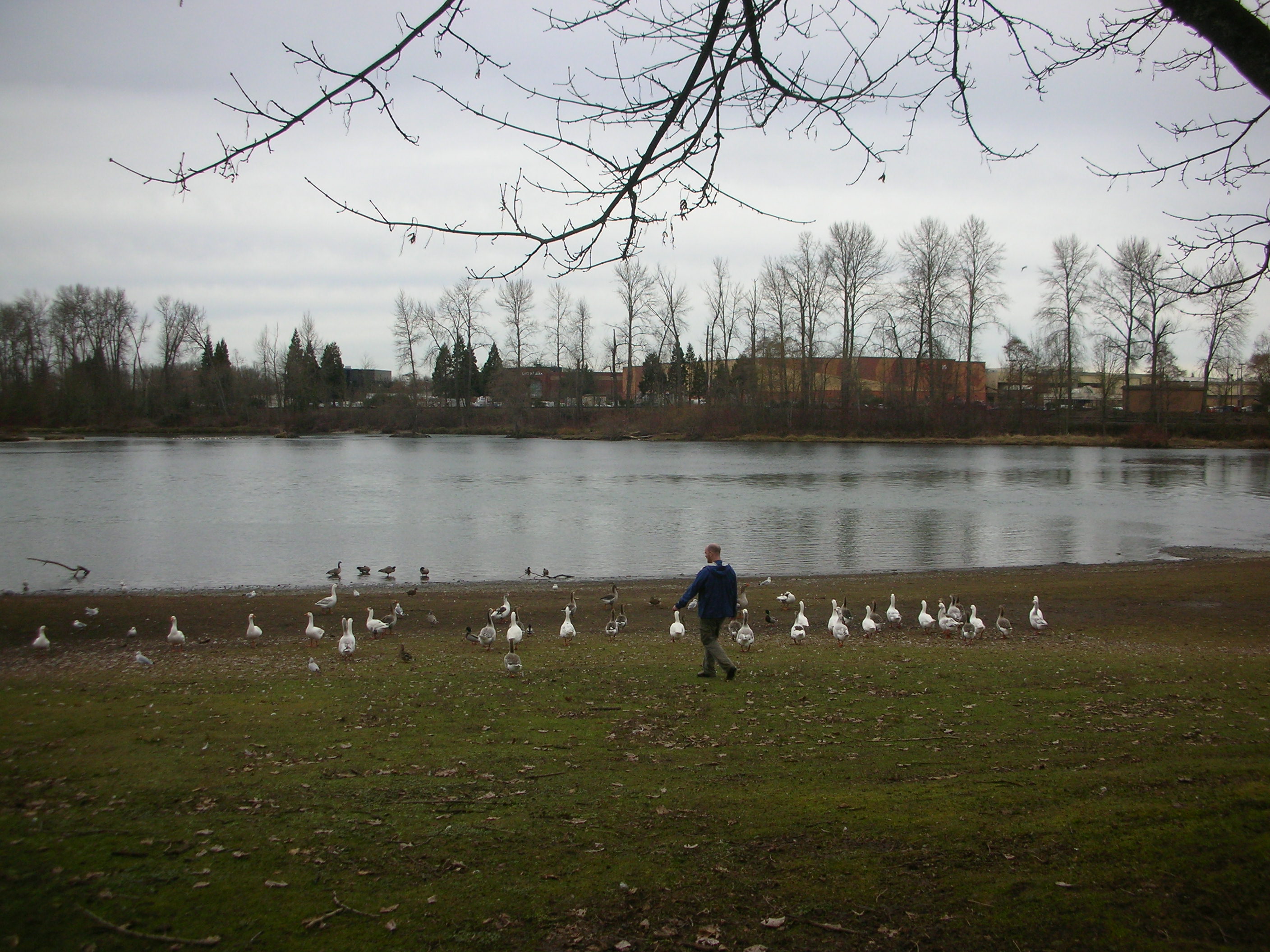 DSCN4624.jpg