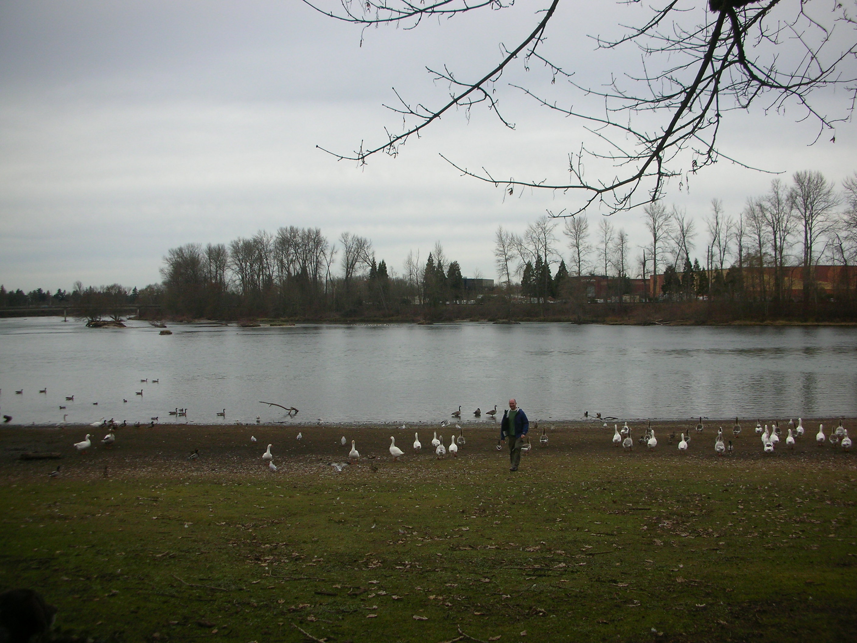 DSCN4625.jpg