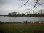 DSCN4625.jpg