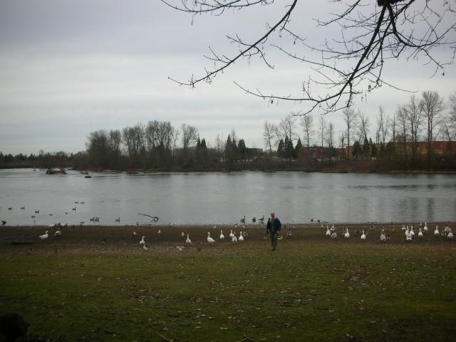 DSCN4625.jpg