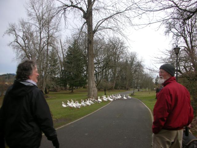 DSCN4626.jpg