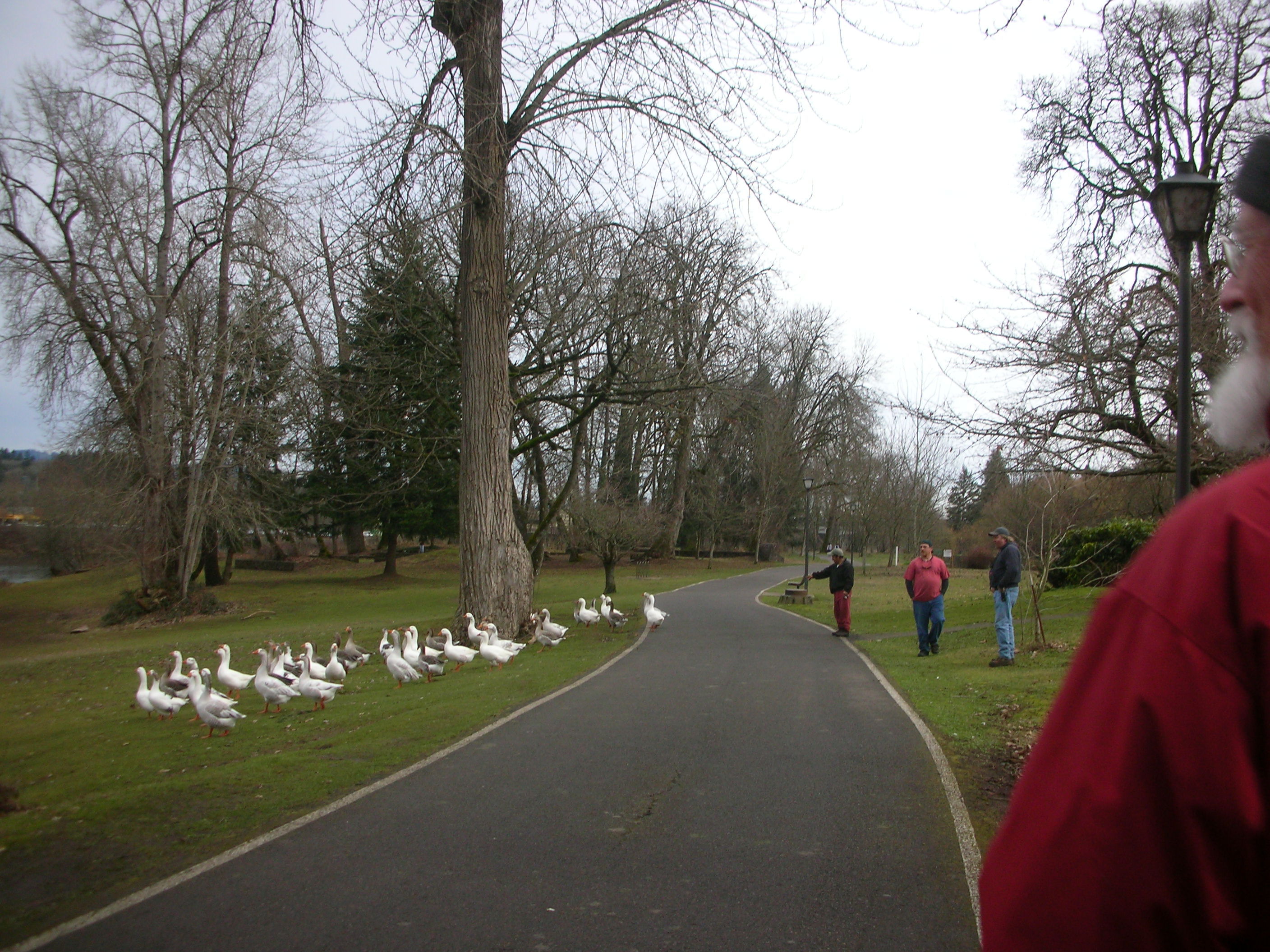 DSCN4627.jpg