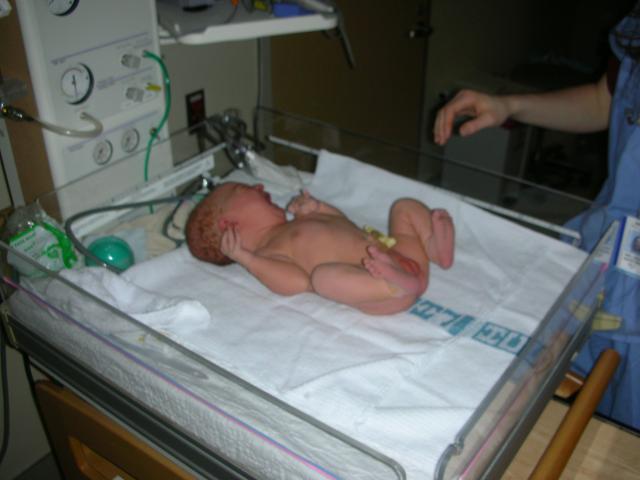 DSCN3926.jpg