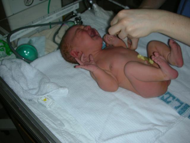 DSCN3927.jpg