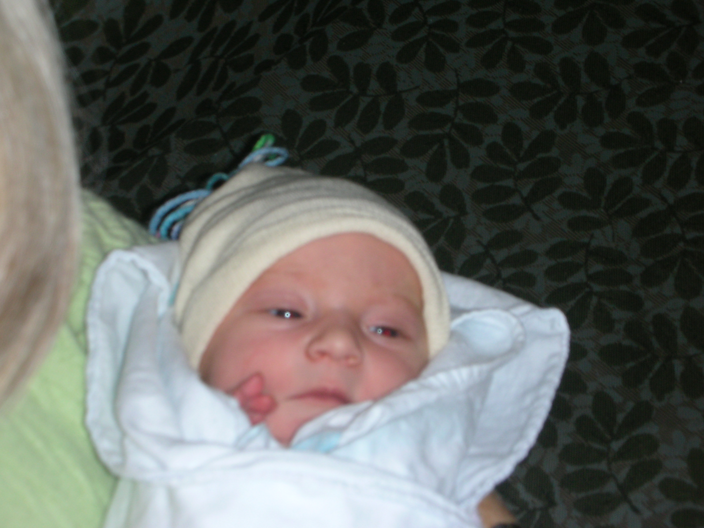 DSCN3942.jpg
