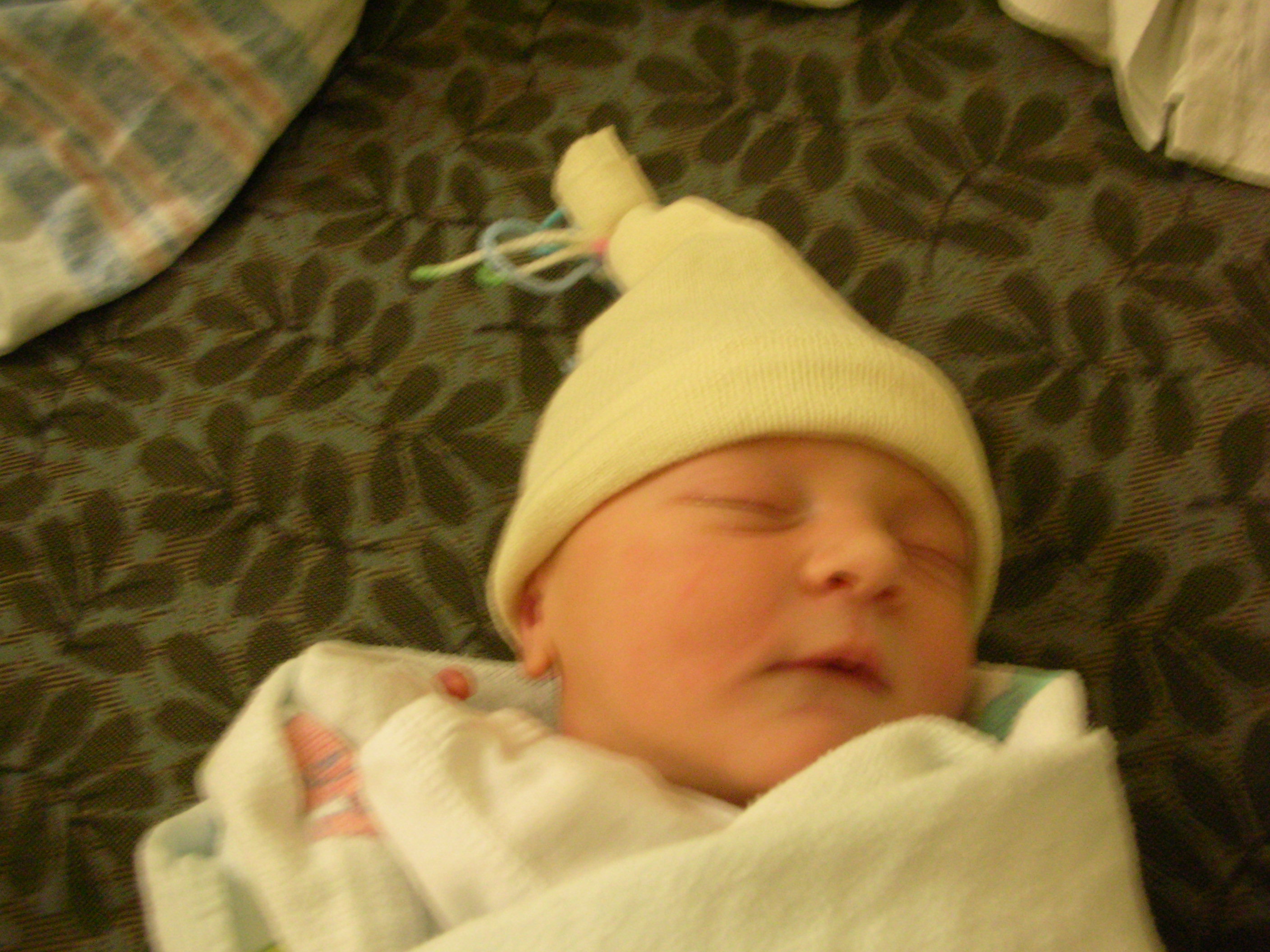 DSCN3946.jpg