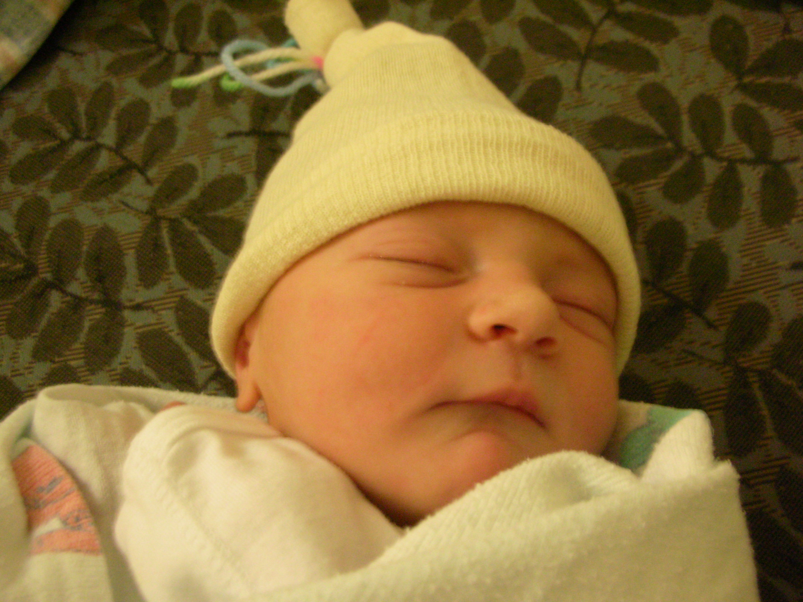 DSCN3947.jpg