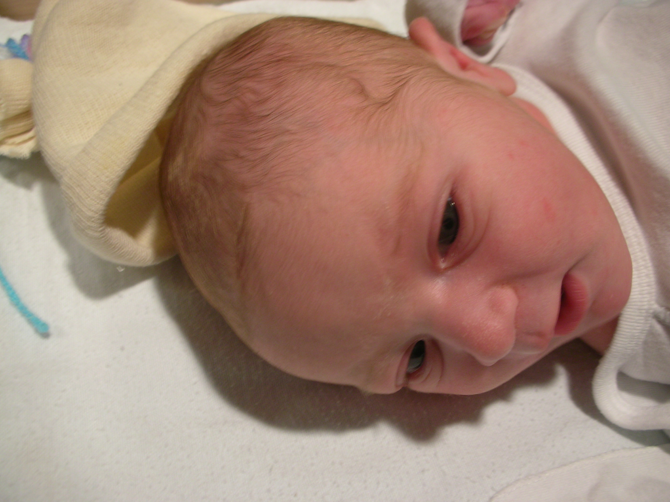 DSCN3961.jpg