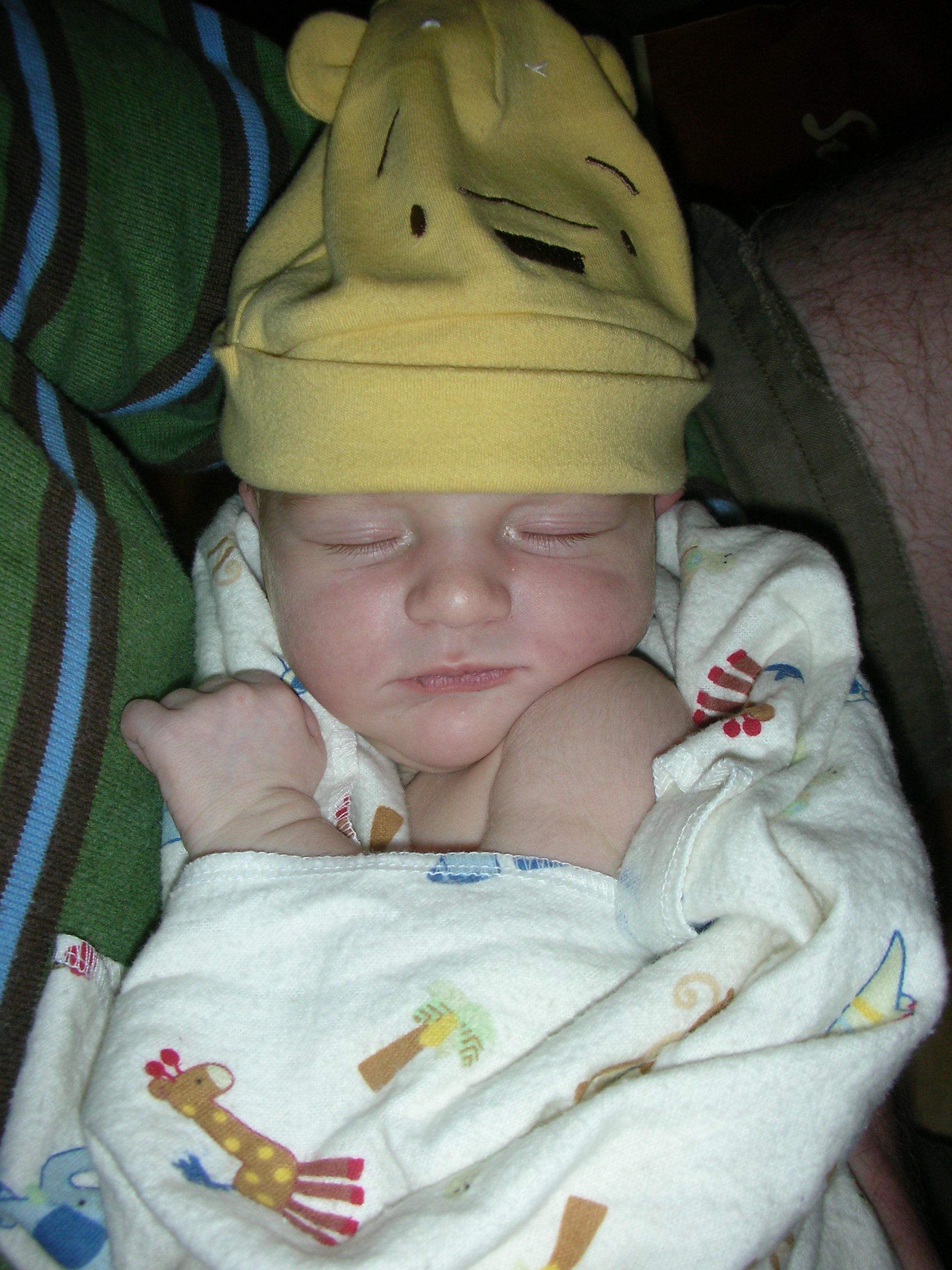 DSCN3987.jpg