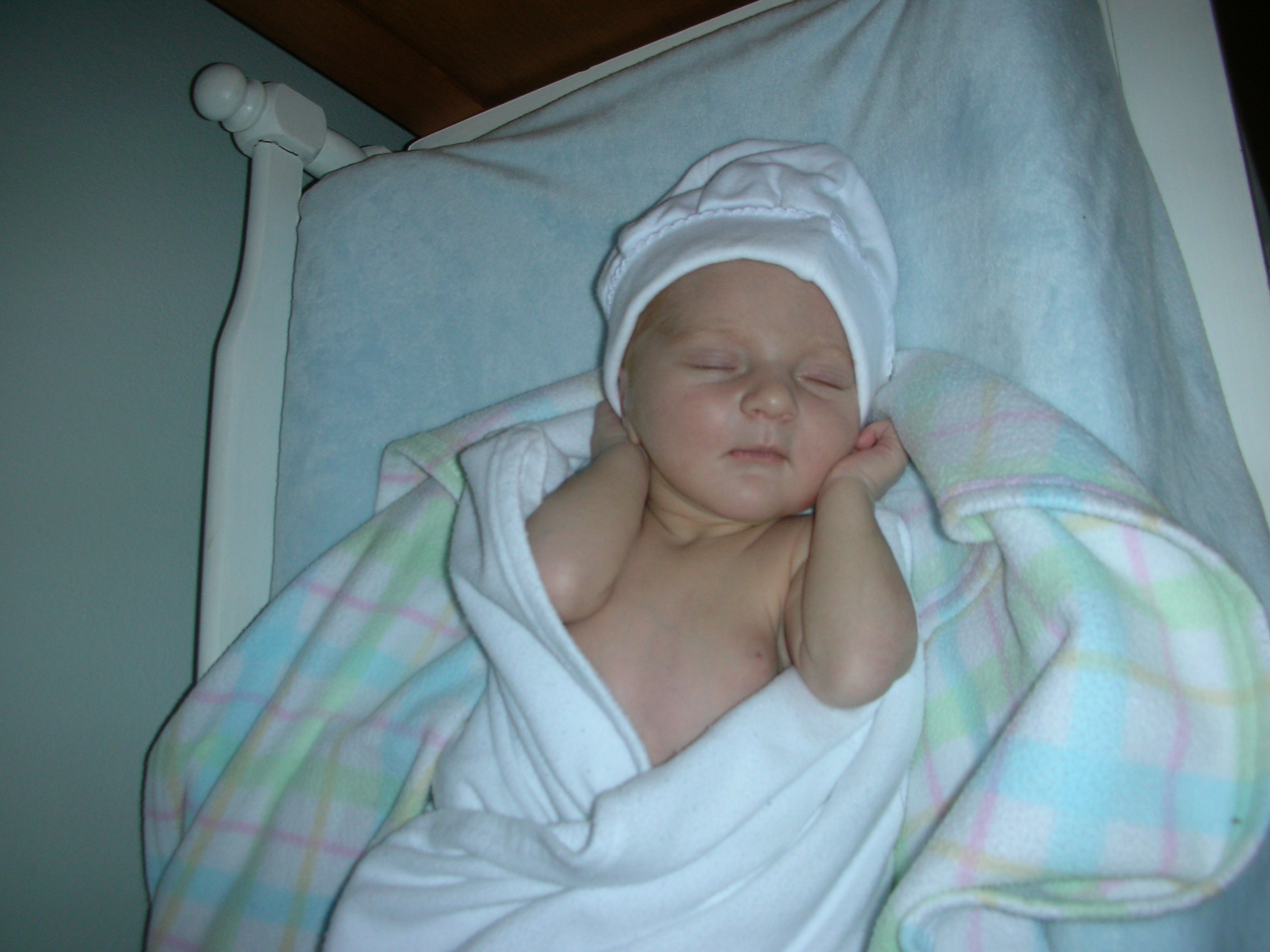 DSCN3988.jpg