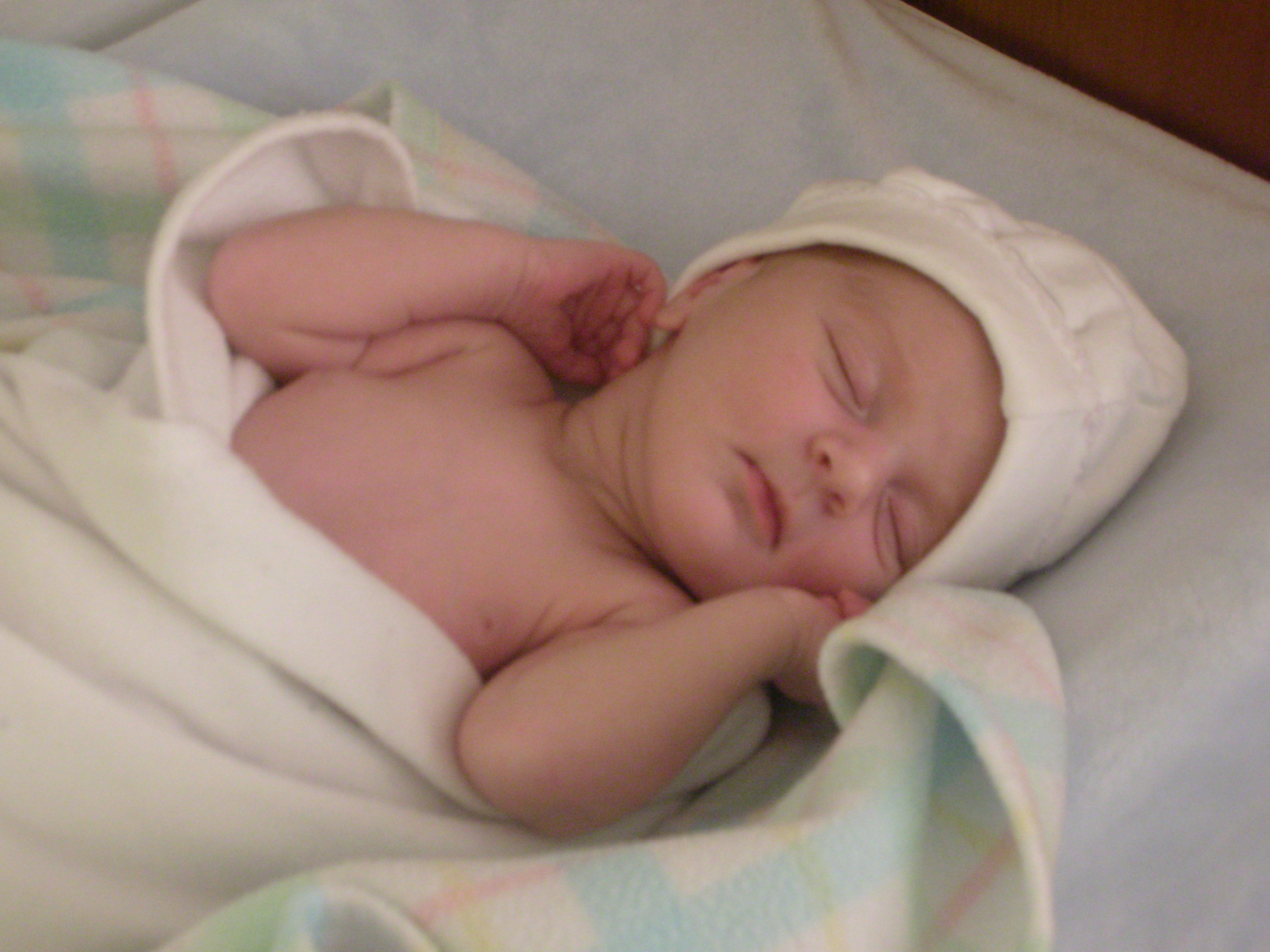 DSCN3992.jpg