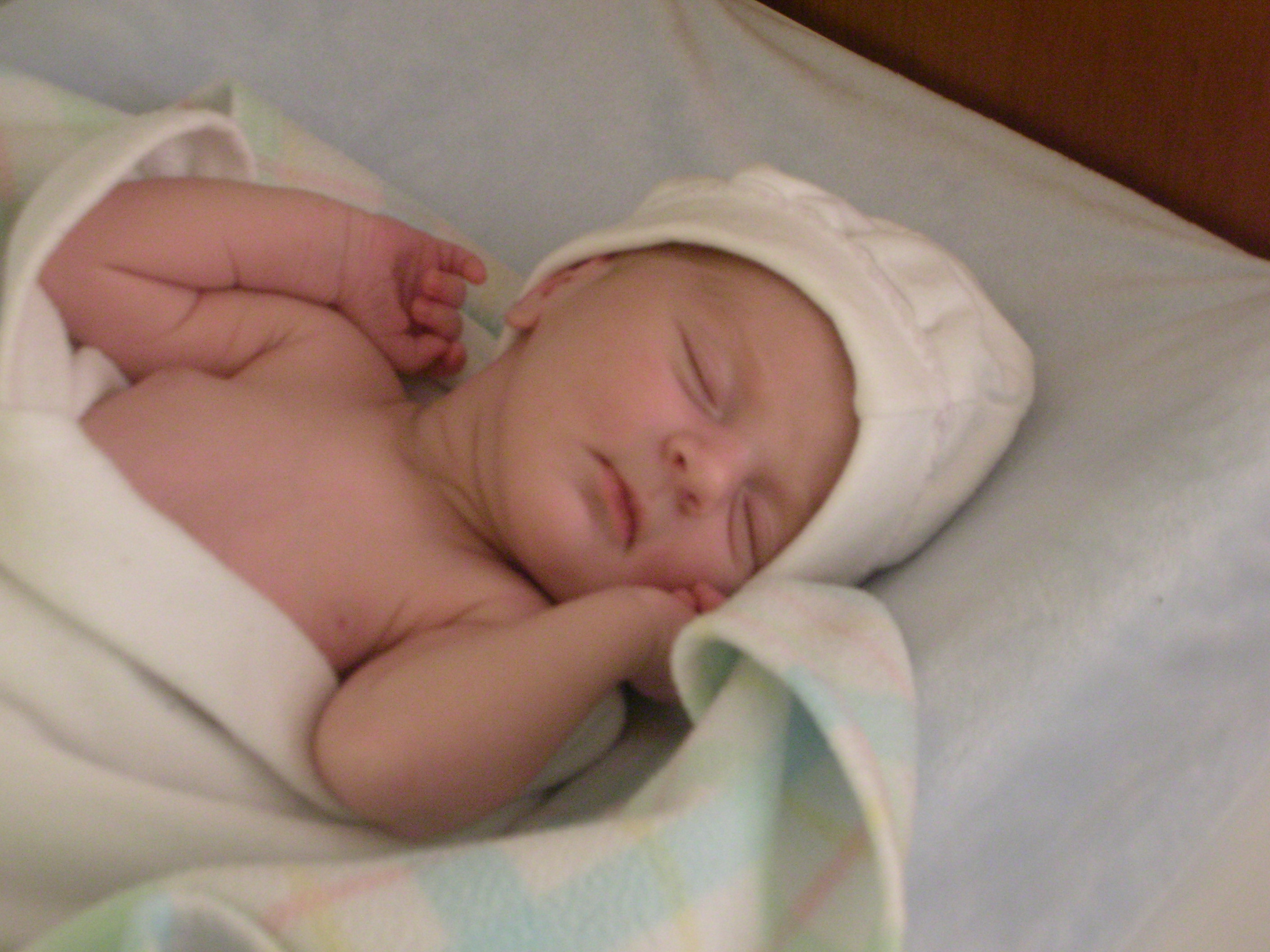 DSCN3993.jpg