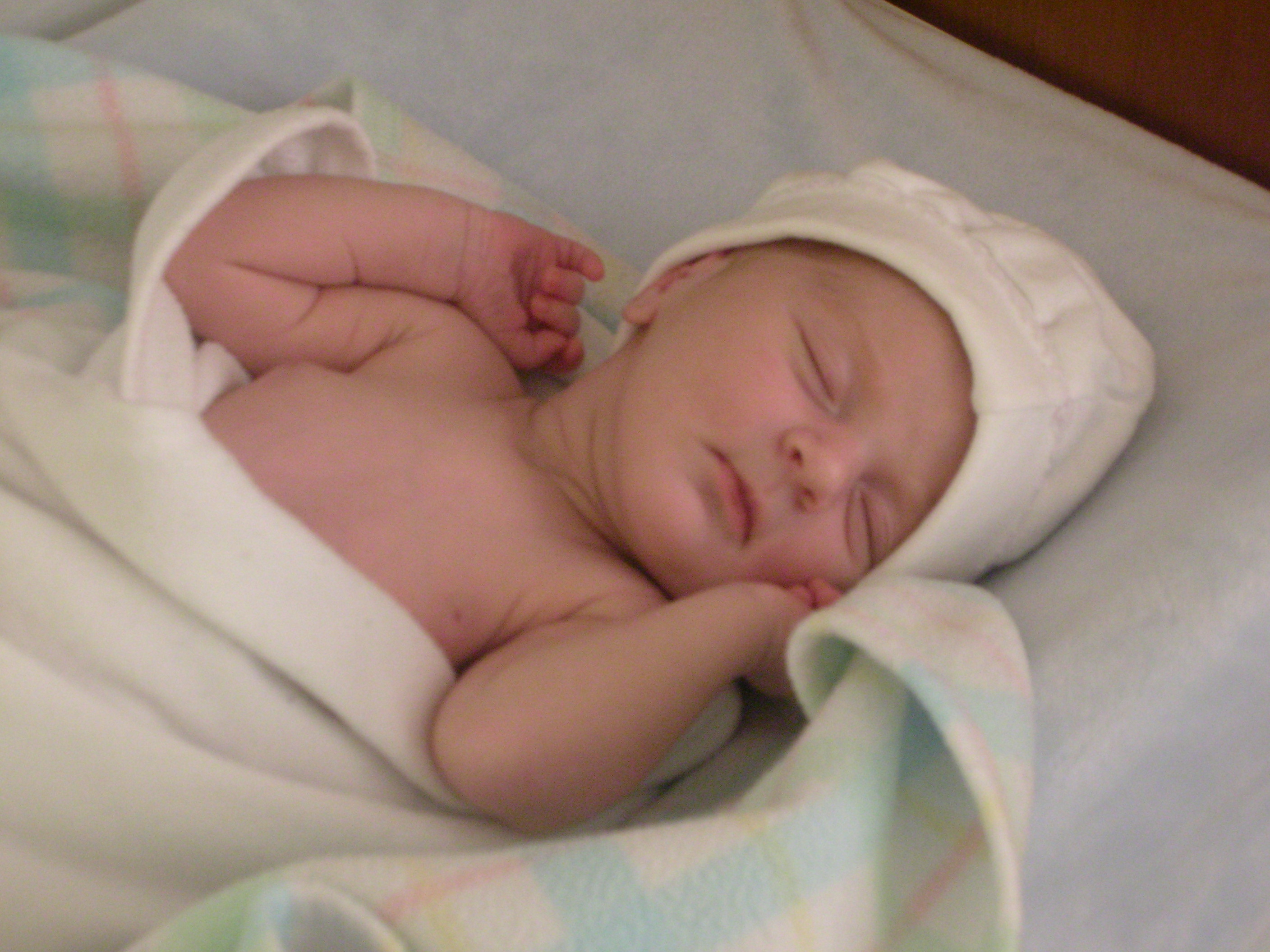 DSCN3994.jpg