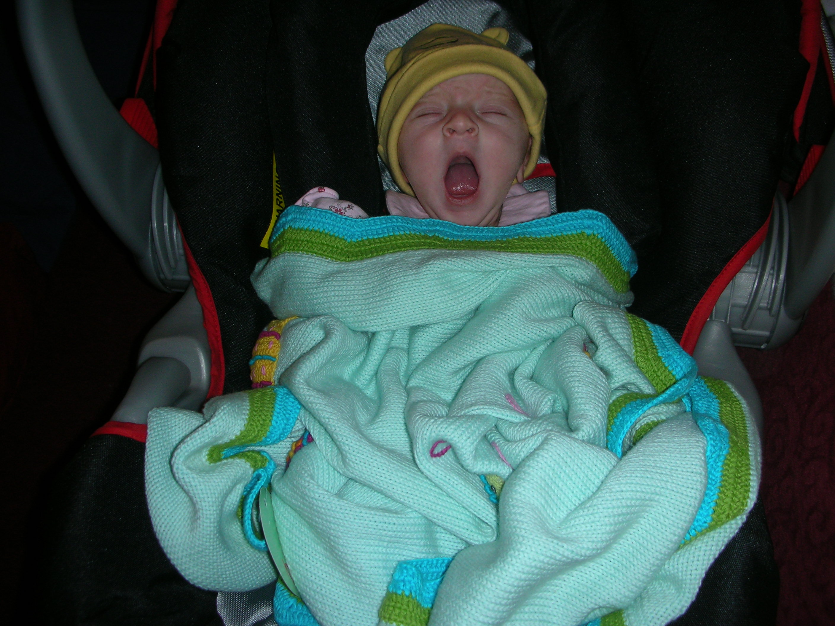 DSCN4002.jpg