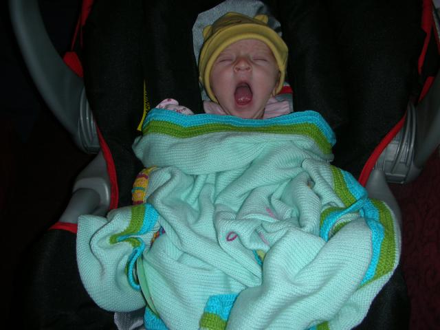 DSCN4002.jpg