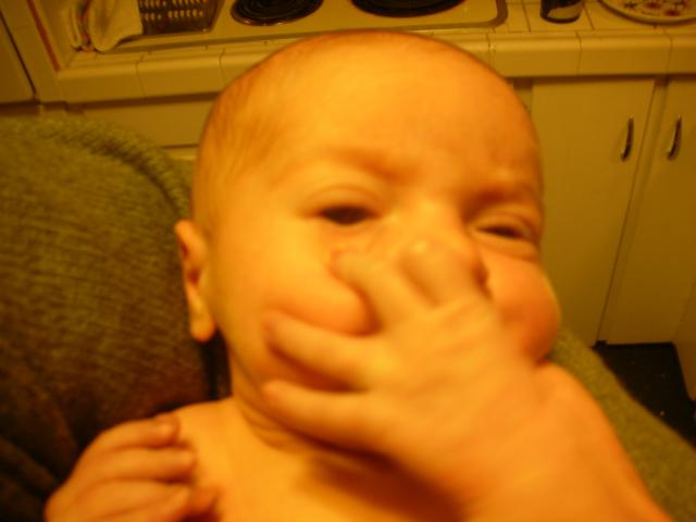 DSCN4009.jpg