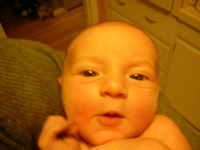 DSCN4011.jpg
