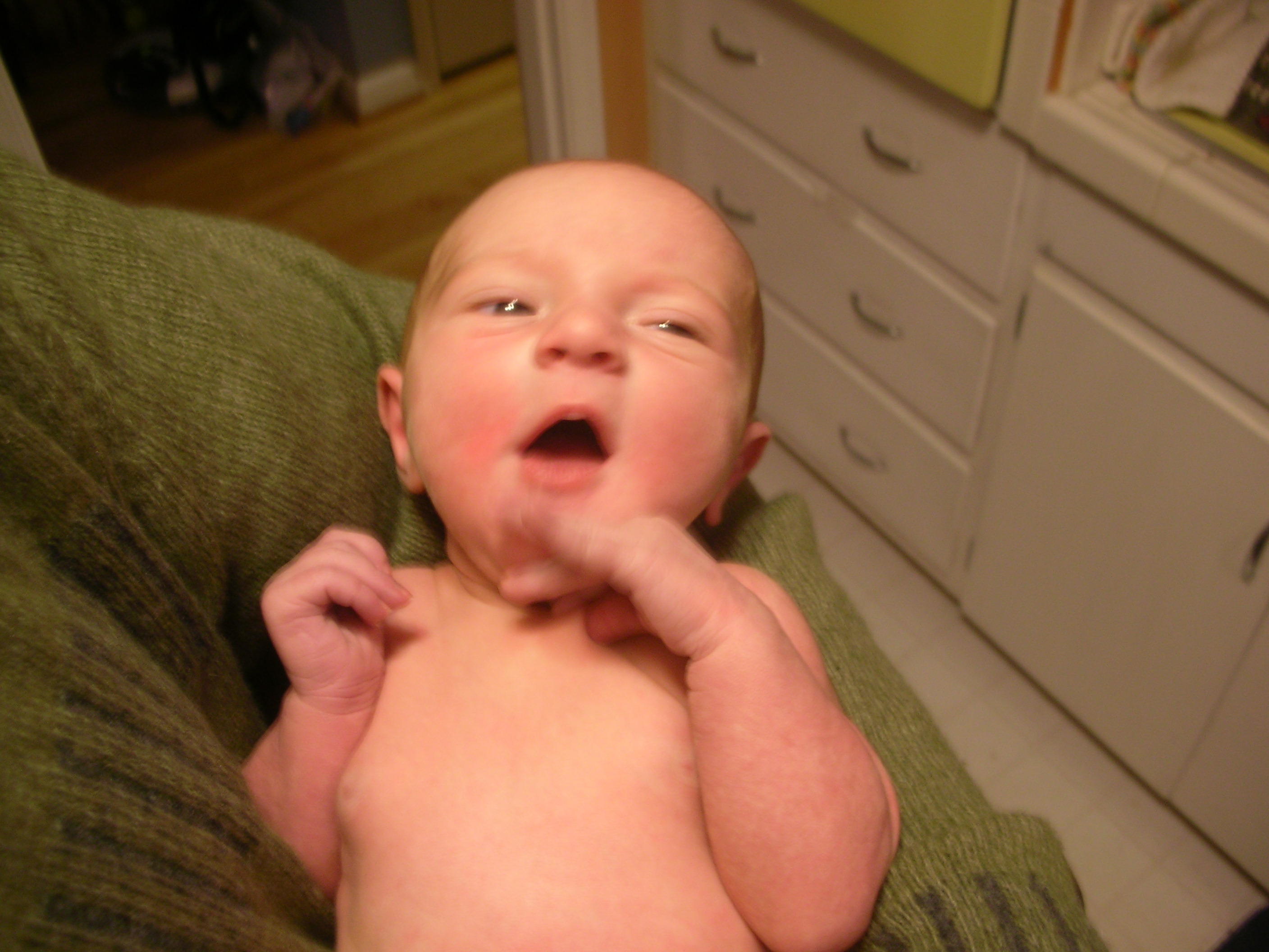 DSCN4012.jpg