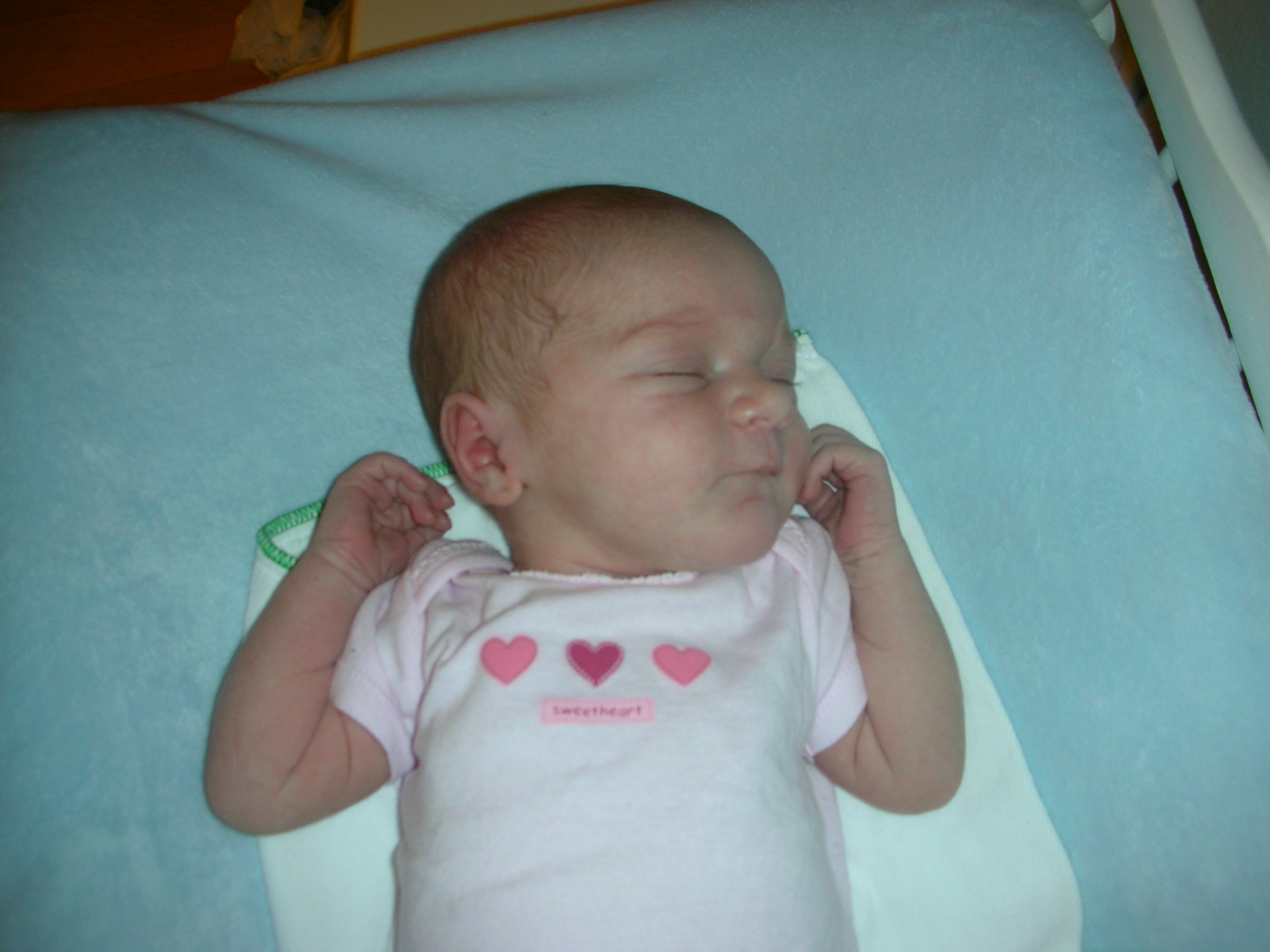DSCN4015.jpg