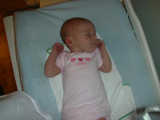 DSCN4016.jpg
