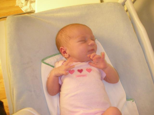 DSCN4017.jpg