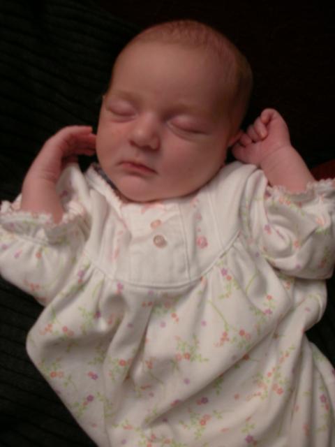 DSCN4033.jpg