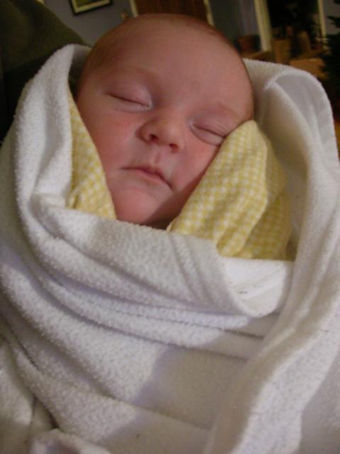 DSCN4036.jpg
