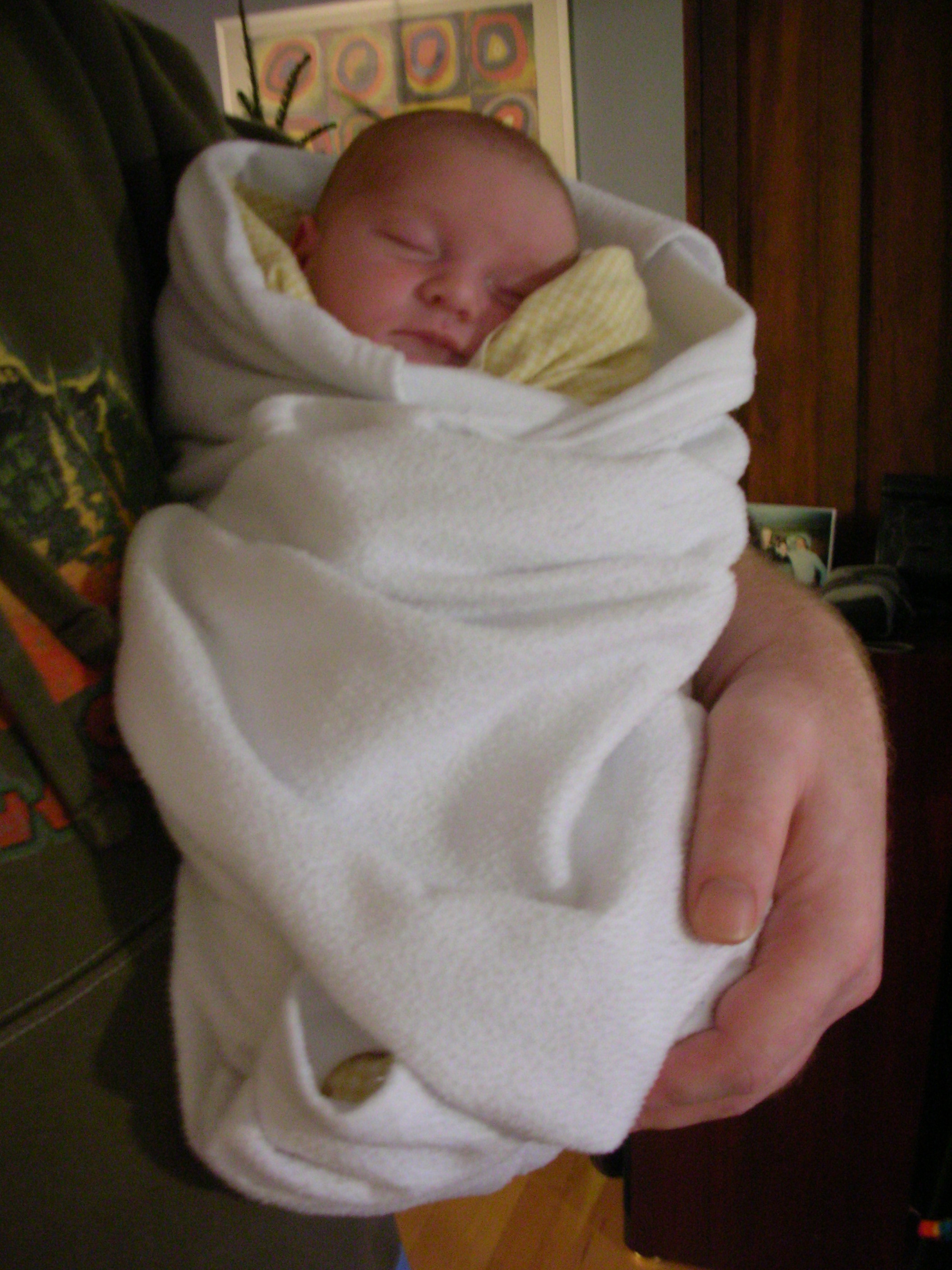 DSCN4038.jpg
