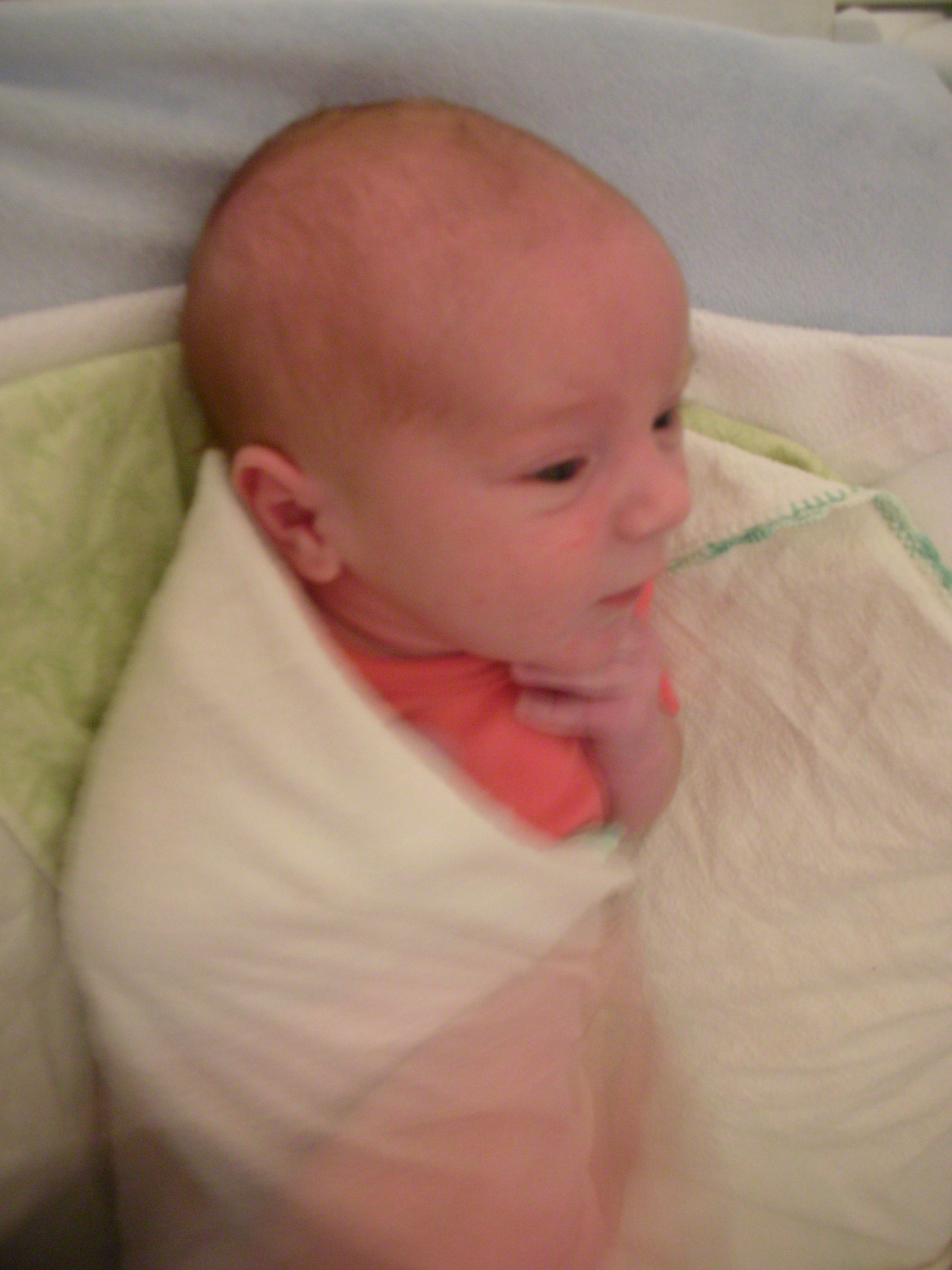 DSCN4046.jpg