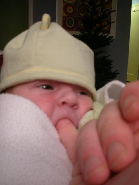DSCN4049.jpg