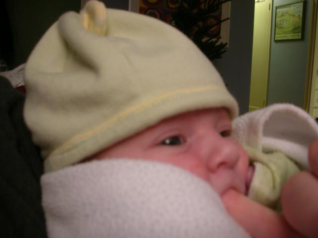 DSCN4051.jpg