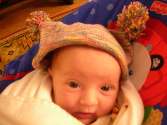 DSCN4062.jpg