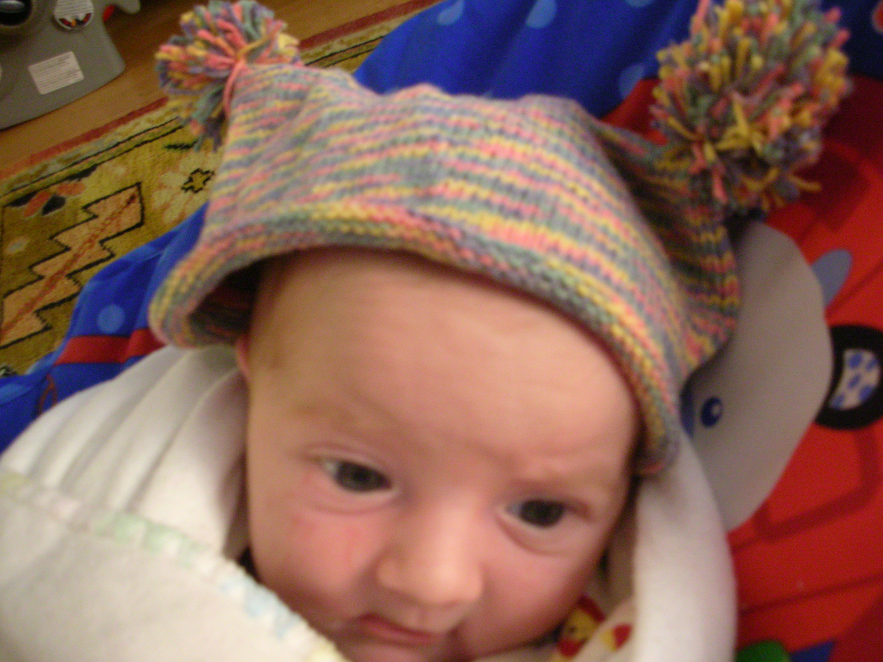 DSCN4064.jpg