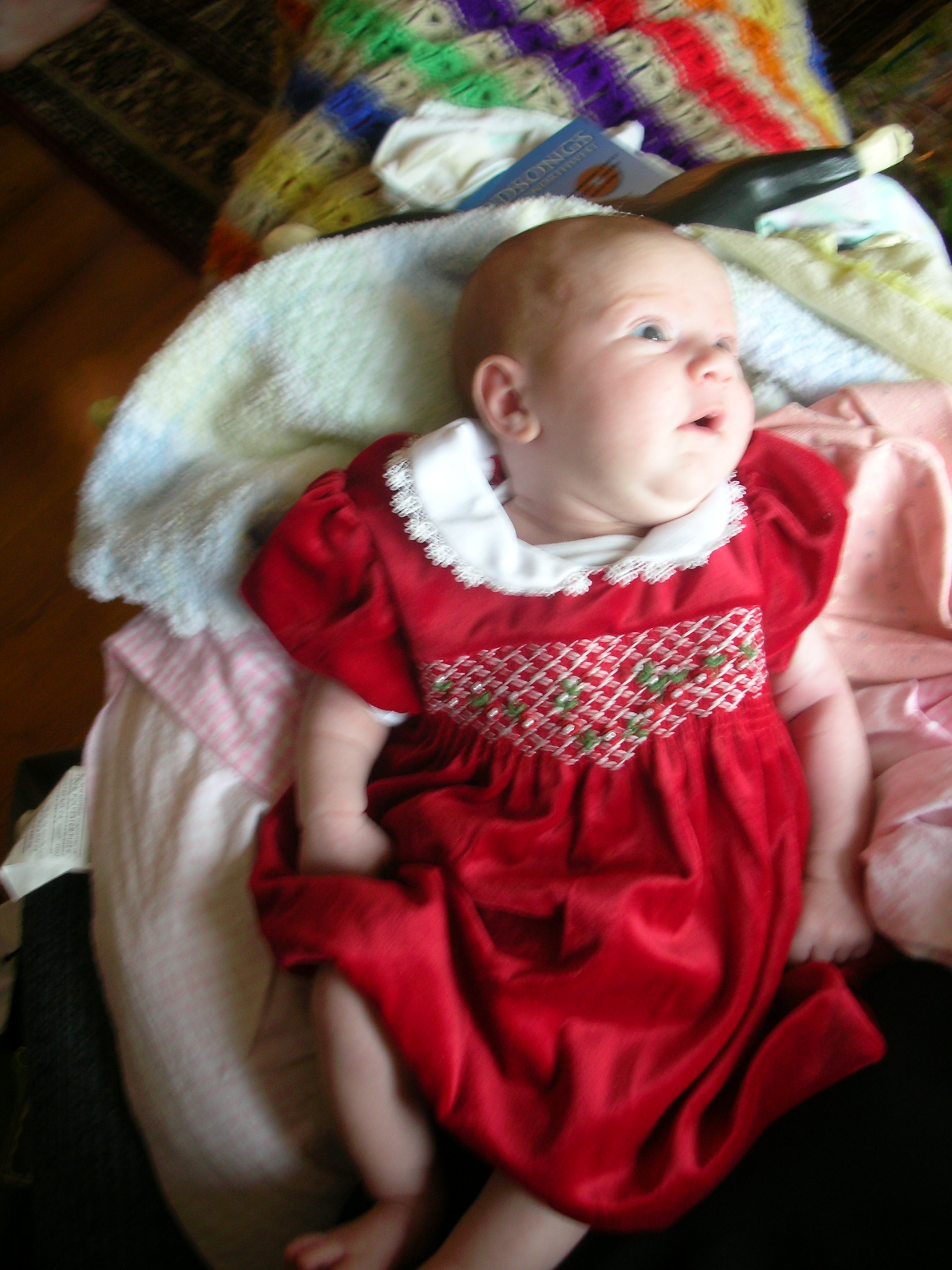 DSCN4140.jpg