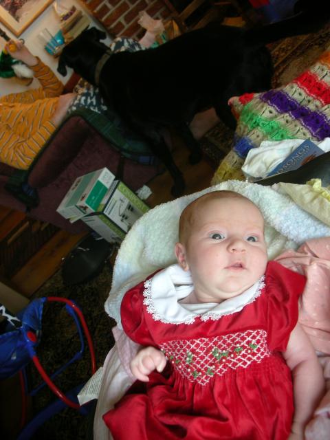 DSCN4141.jpg