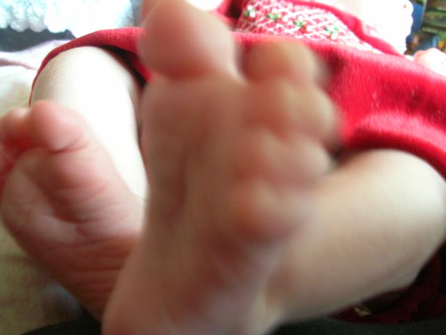 DSCN4145.jpg