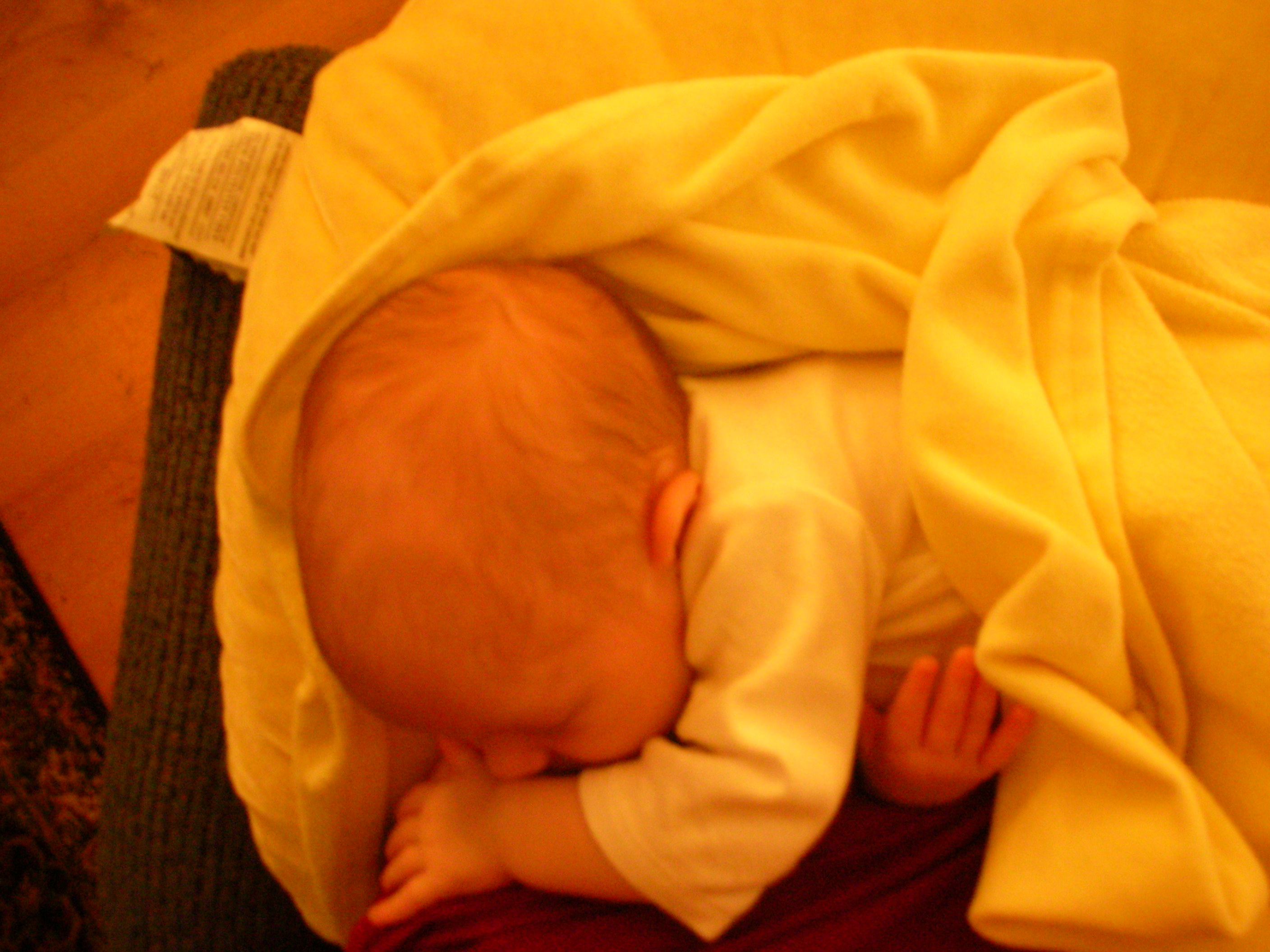 DSCN4176.jpg