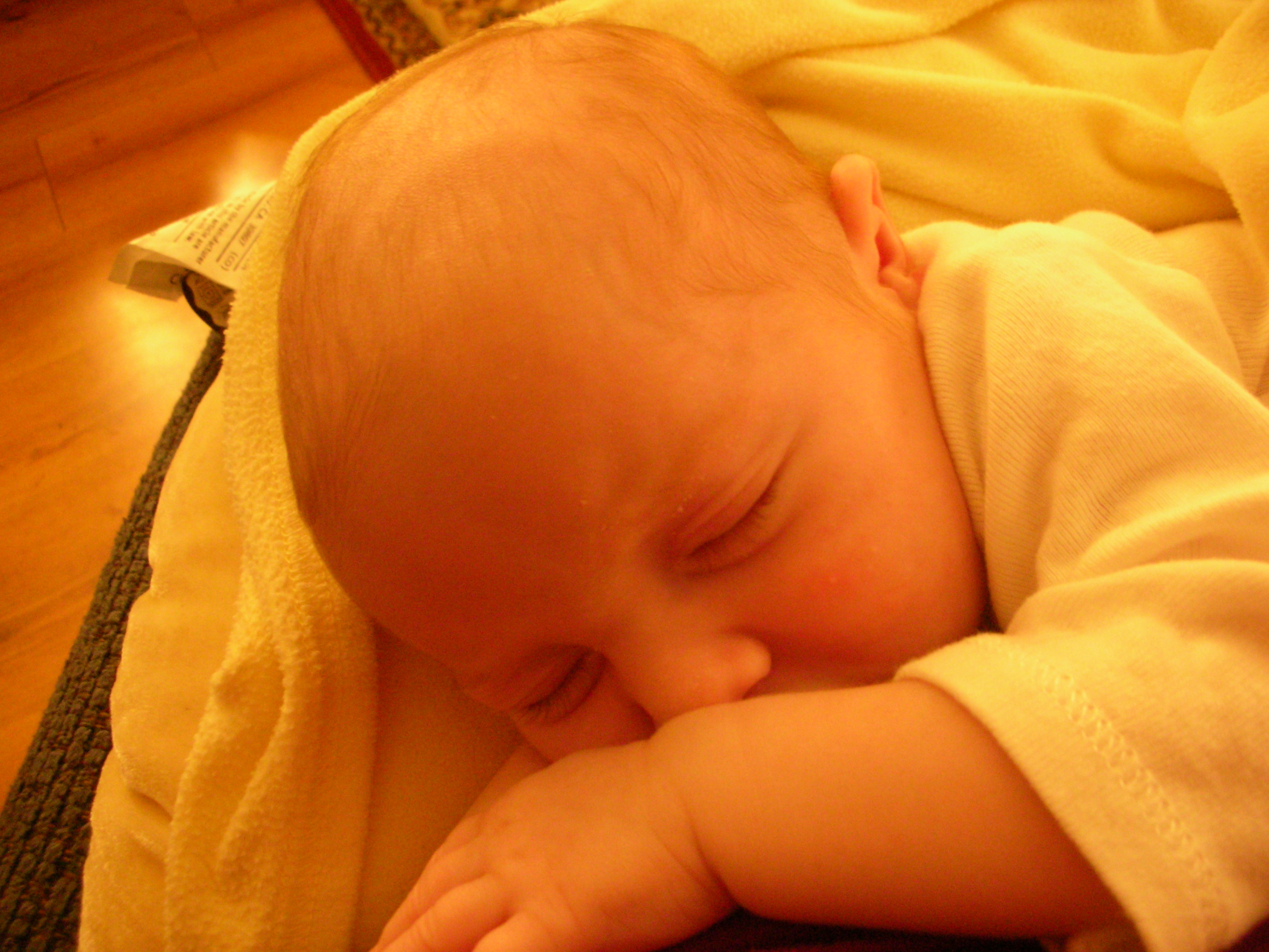 DSCN4178.jpg