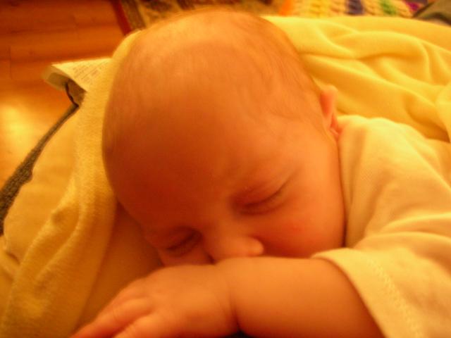DSCN4179.jpg