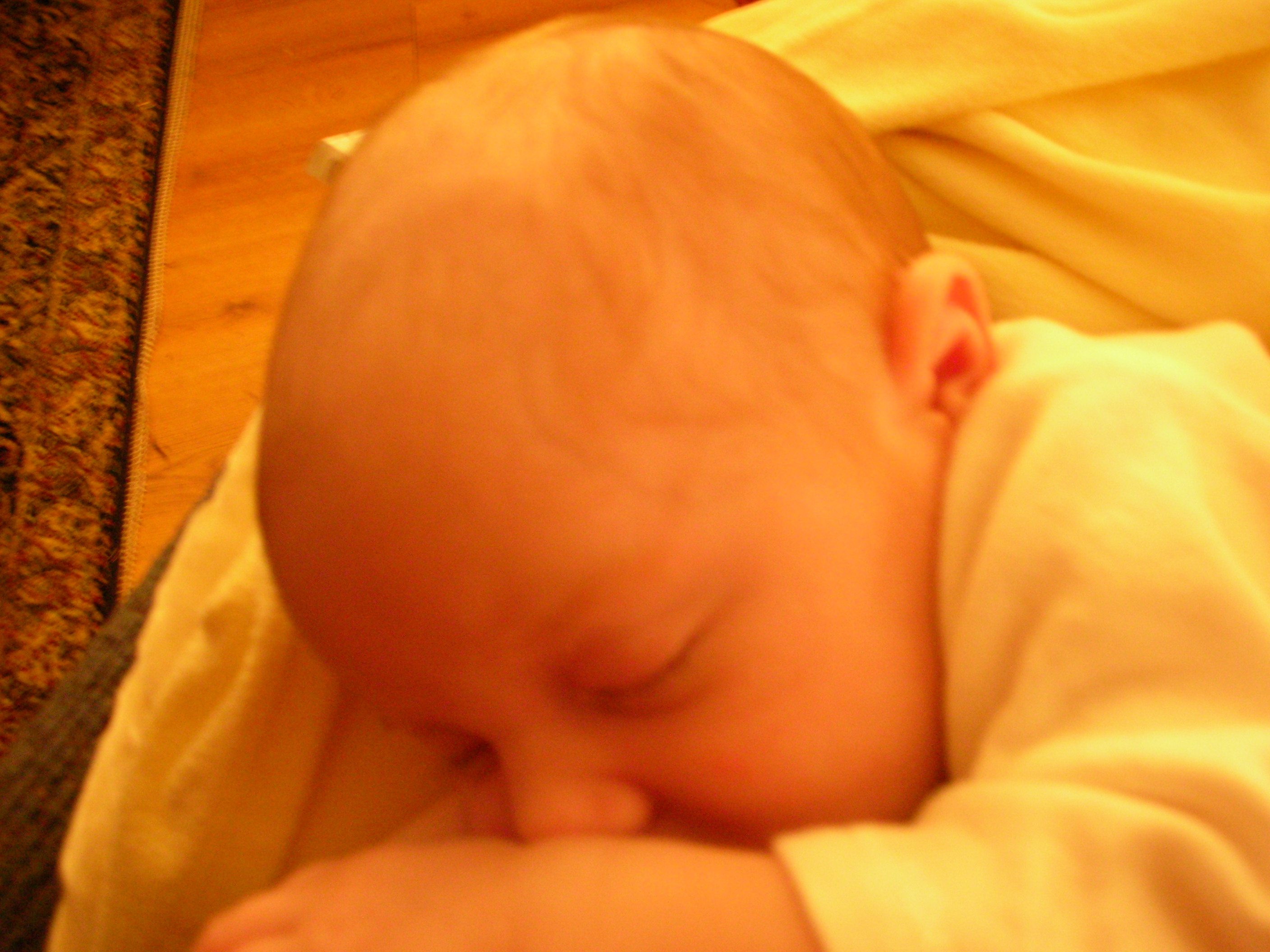 DSCN4181.jpg