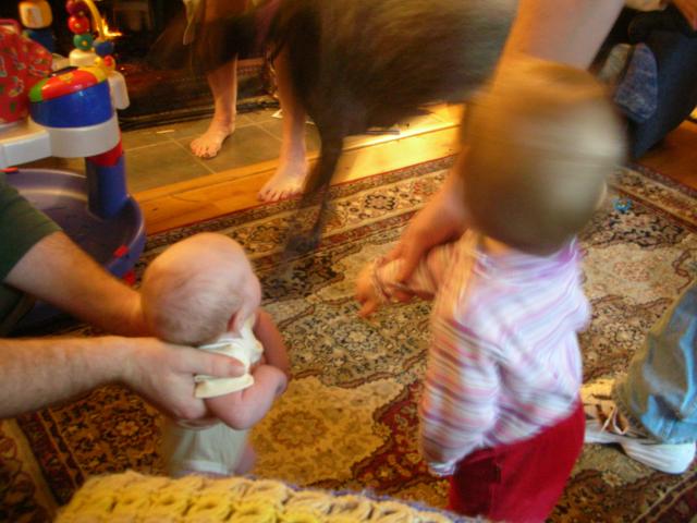 DSCN4187.jpg