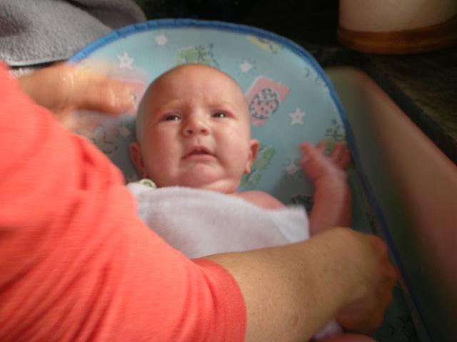 DSCN4290.jpg